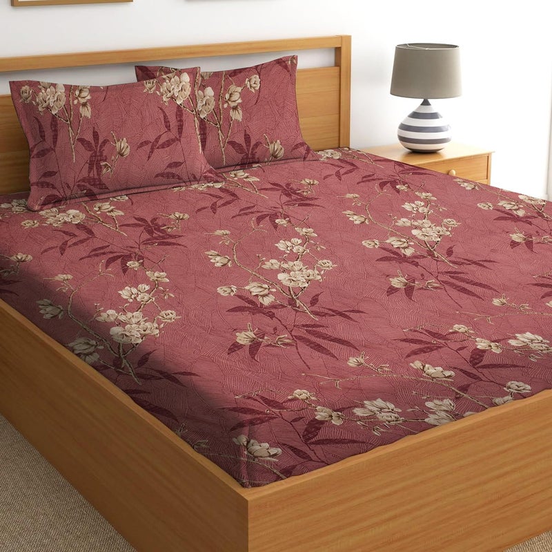 STARNSTYLE 100% Cotton Super Soft 240 Thread Count Elastic Fitted King Size Bedsheet with 2 Pillow Covers - Image 2